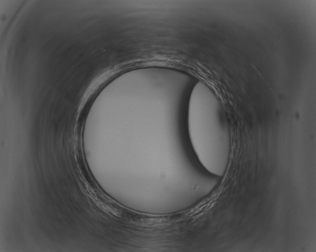 X0000087510102200704270804