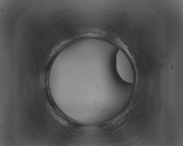X0000087510106200704270804