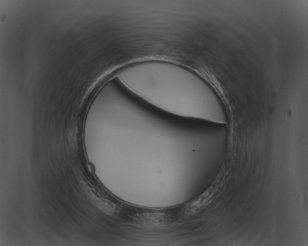 X0000087510108200704270804