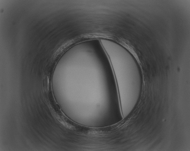 X0000087510109200704270804
