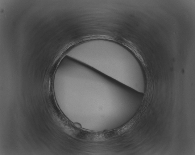 X0000087510110200704270804