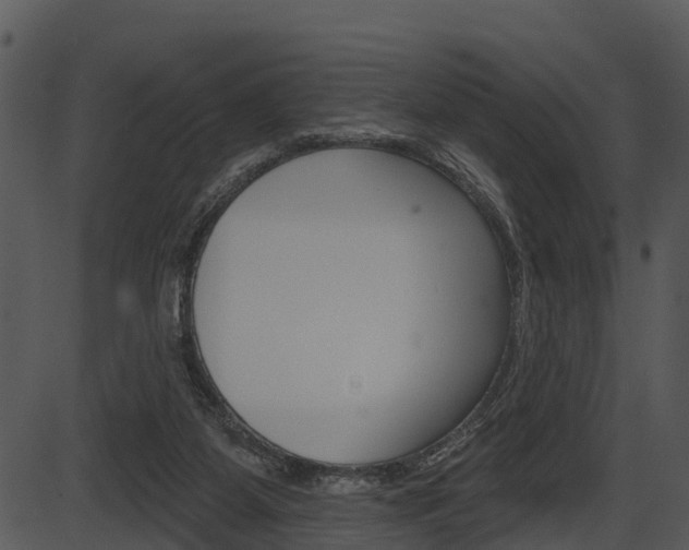X0000087510115200704270803