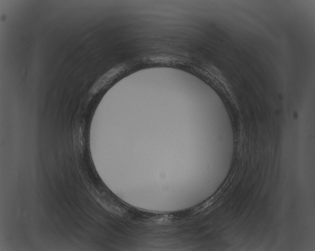 X0000087510116200704270803