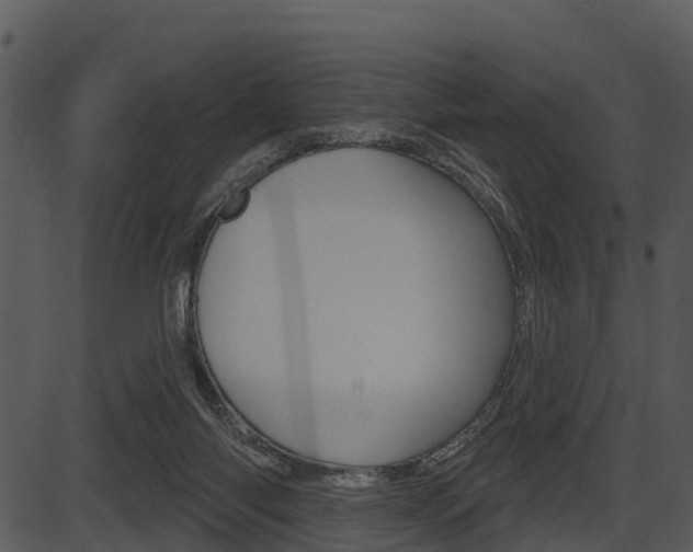 X0000087510118200704270803