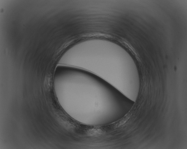 X0000087510119200704270803