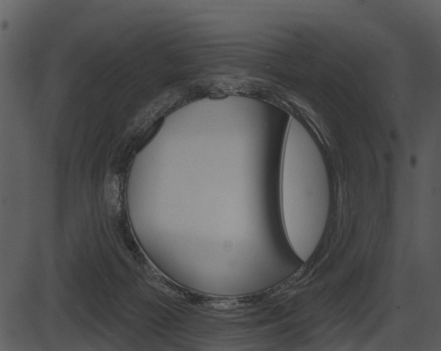 X0000087510121200704270803