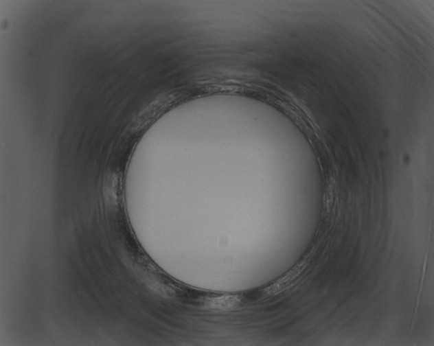 X0000087510122200704270803