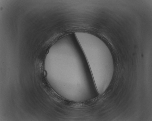 X0000087510123200704270803