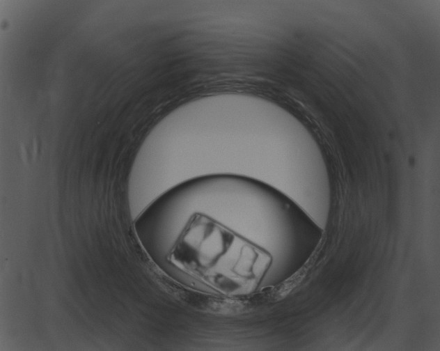 X0000087510125200704270803