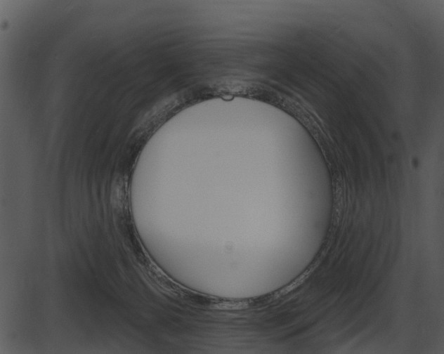 X0000087510126200704270803