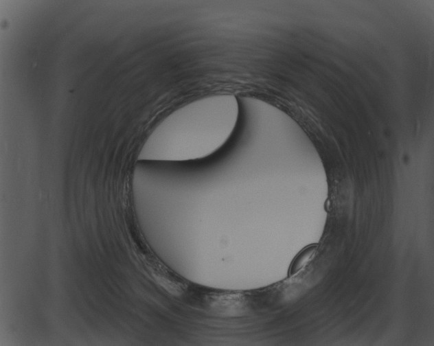 X0000087510132200704270803