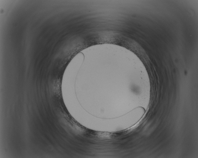 X0000087510144200704270803