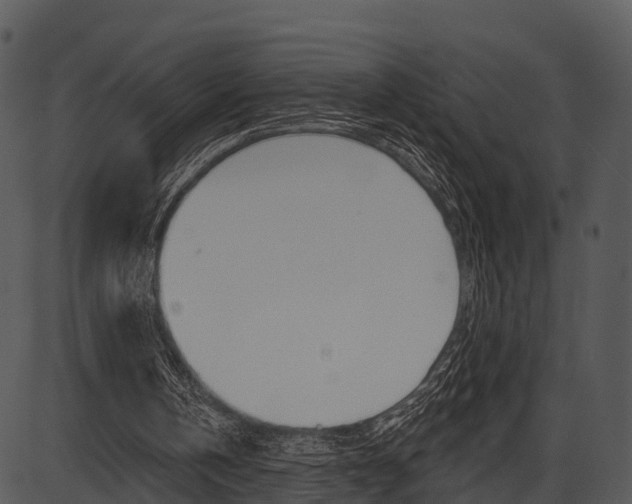 X0000087510146200704270802