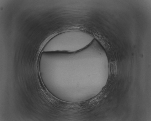 X0000087510147200704270802