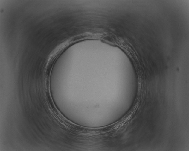 X0000087510149200704270802