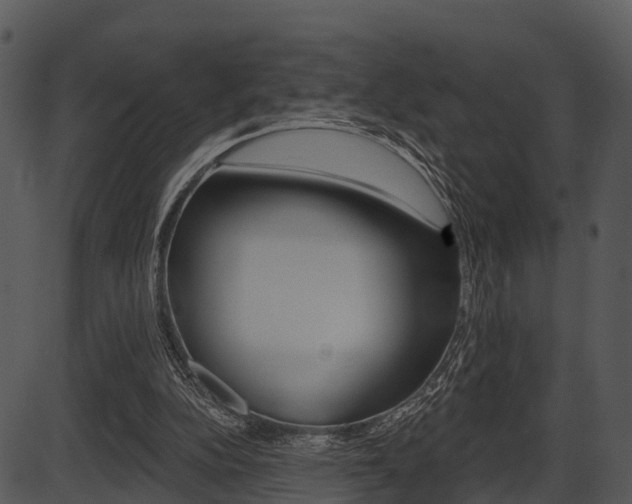 X0000087510152200704270802