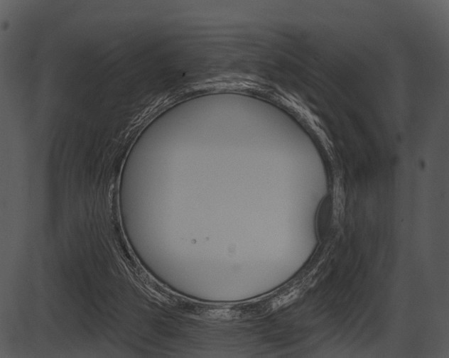 X0000087510153200704270802