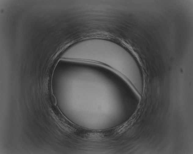 X0000087510154200704270802