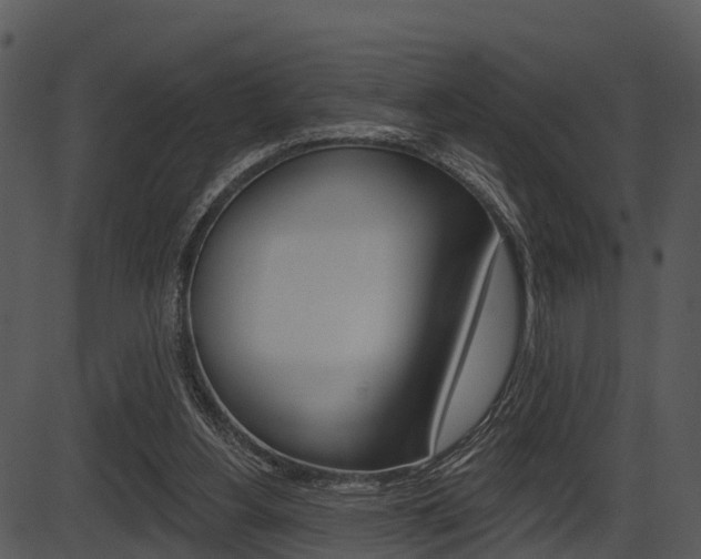 X0000087510156200704270802