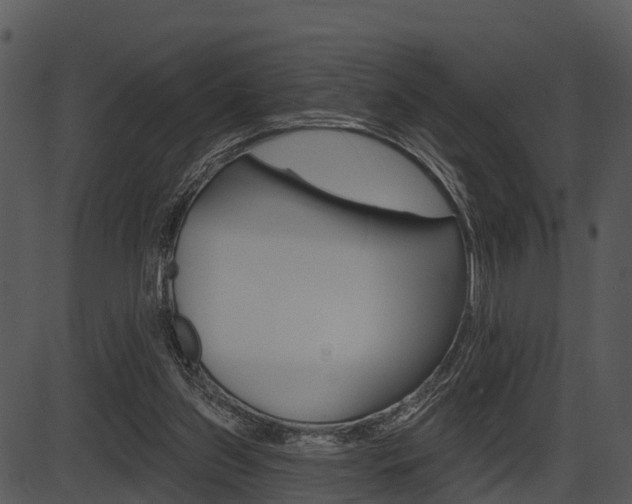 X0000087510157200704270802