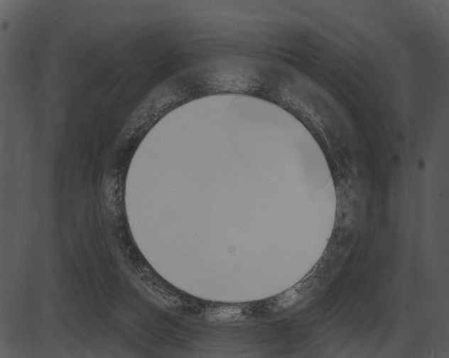 X0000087510162200704270802
