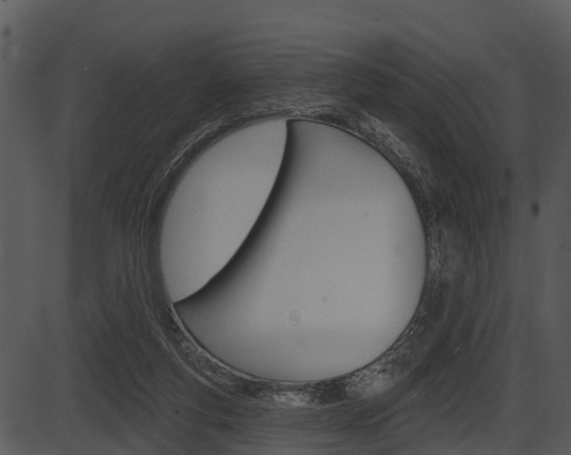 X0000087510163200704270803