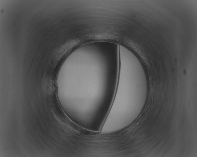 X0000087510164200704270803