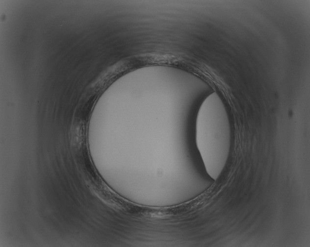 X0000087510165200704270803