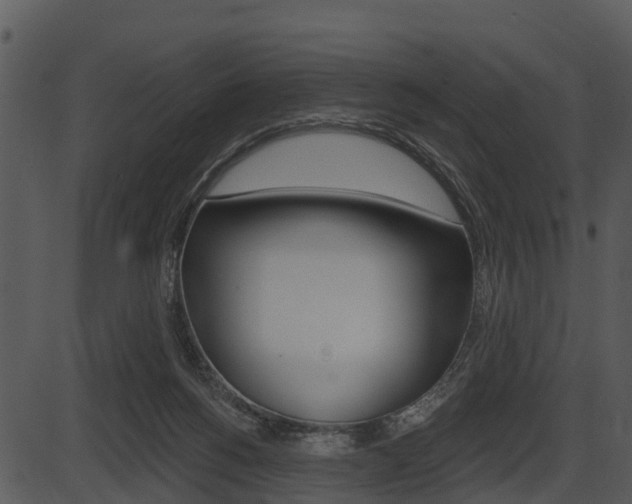 X0000087510168200704270803