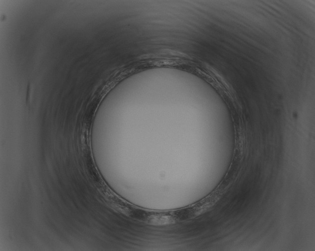 X0000087510169200704270803