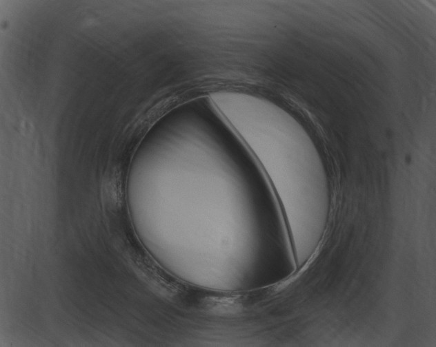 X0000087510170200704270803