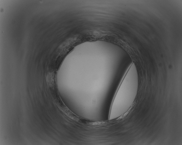 X0000087510184200704270803