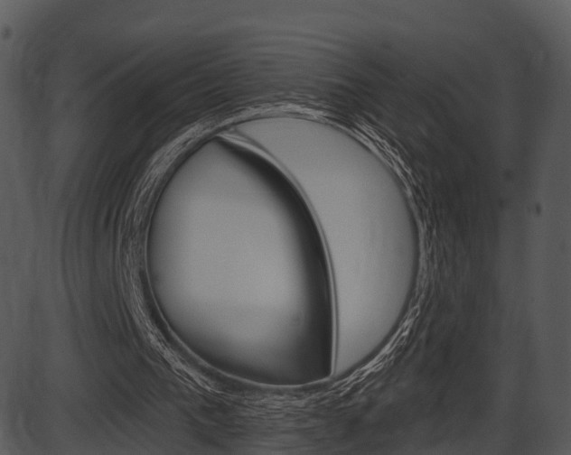 X0000087510193200704270802
