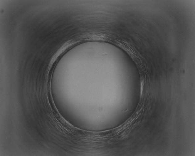 X0000087510195200704270802