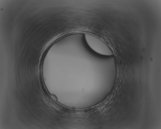 X0000087510196200704270802