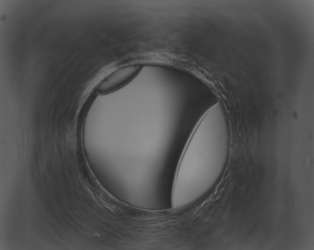 X0000087510200200704270802