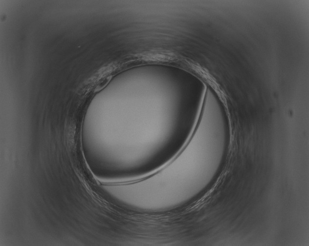 X0000087510201200704270802