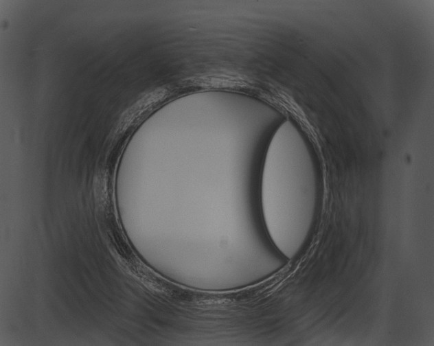 X0000087510202200704270802