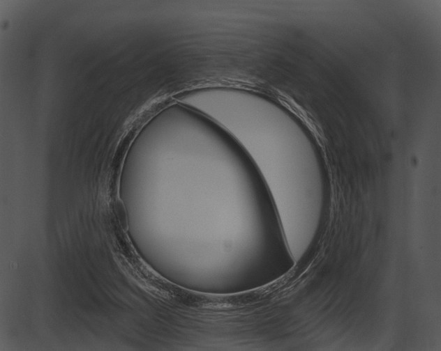 X0000087510203200704270802