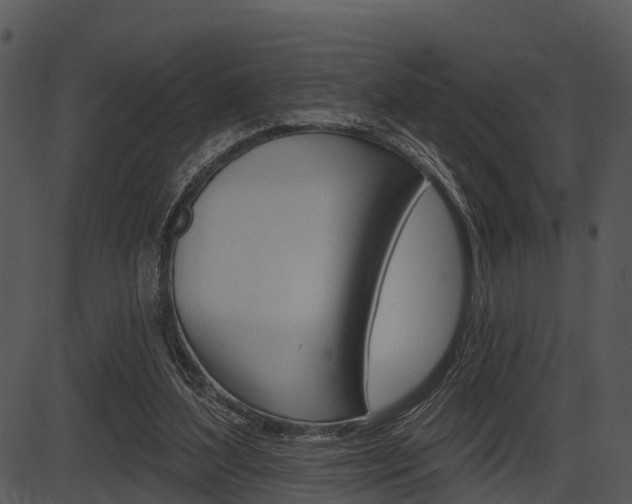 X0000087510204200704270802