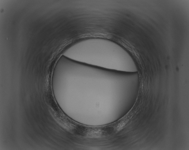 X0000087510206200704270802