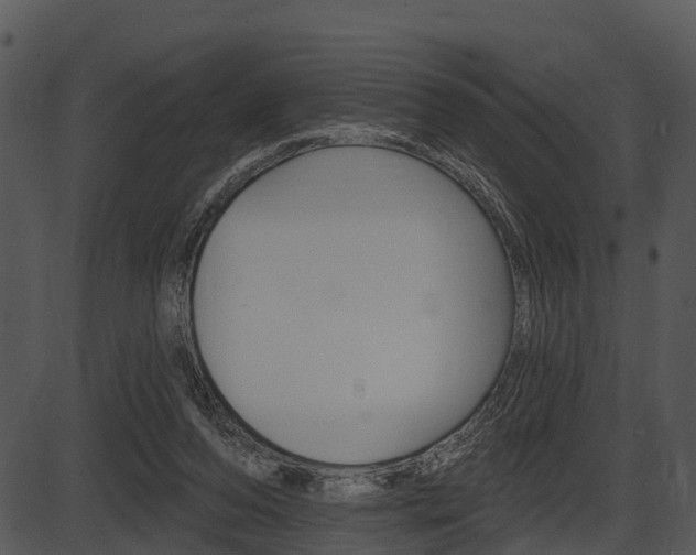 X0000087510208200704270802