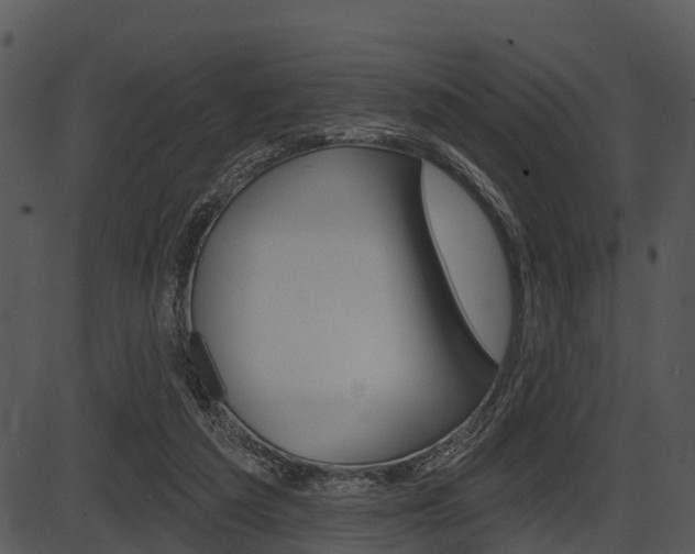 X0000087510209200704270802