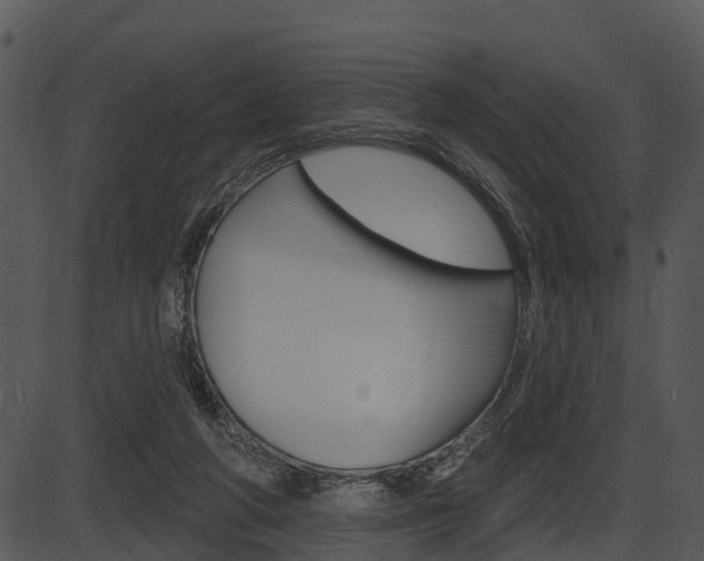 X0000087510210200704270802