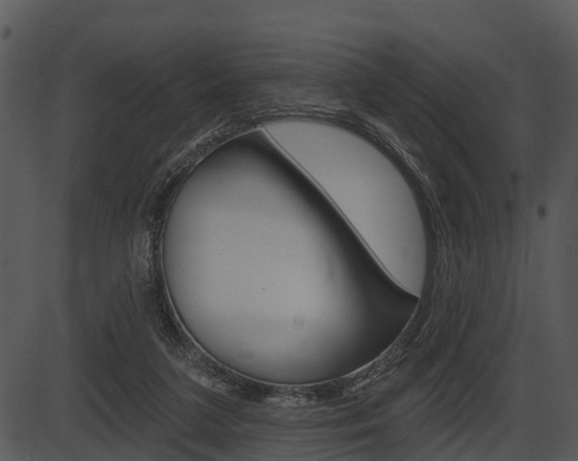 X0000087510211200704270802