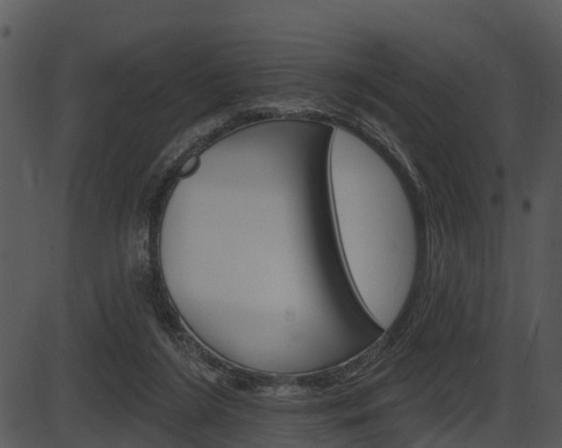 X0000087510212200704270802