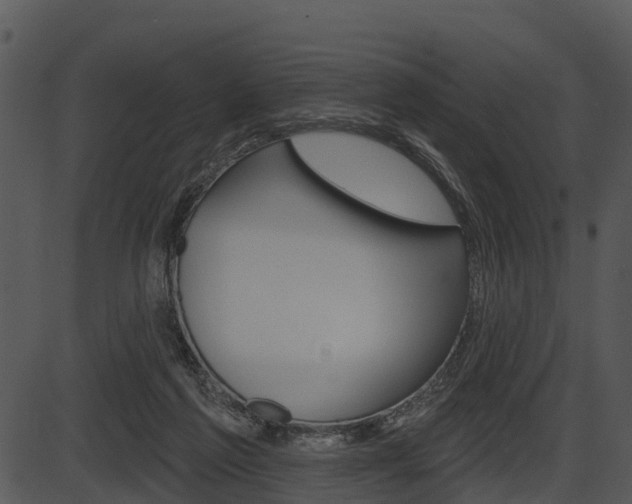 X0000087510213200704270802