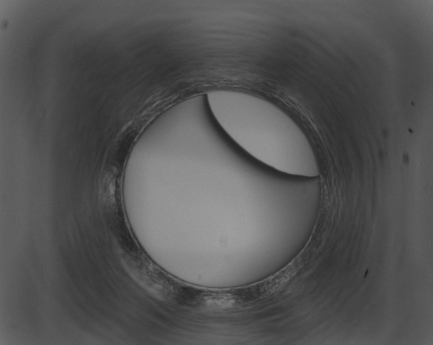 X0000087510214200704270802