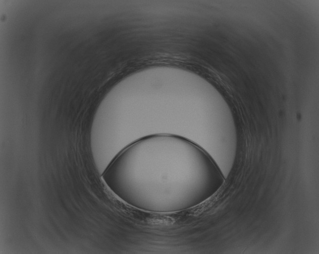 X0000087510215200704270802