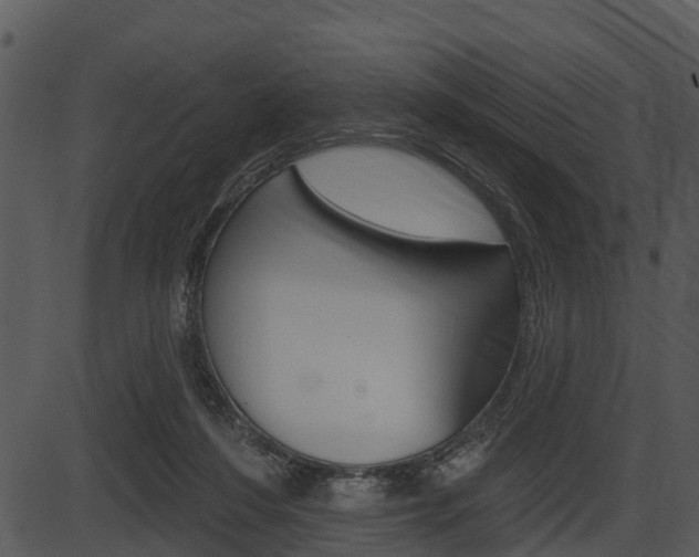X0000087510216200704270802